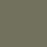Green artichoke
